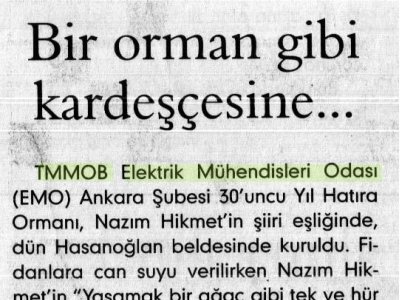 BİR ORMAN GİBİ KARDEŞÇESİNE...