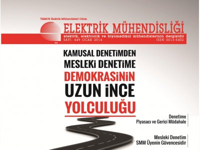 KAMUSAL VE MESLEKİ DENETİM SAYISI