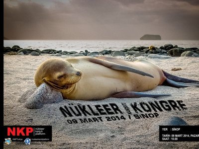 NÜKLEER KARŞITI KONGREYE GİDİYORUZ
