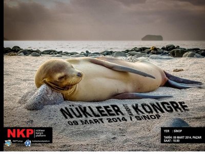NÜKLEER KARŞITI KONGRE SİNOP`TA TOPLANIYOR