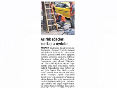 ASIRLIK AĞAÇLARI MATKAPLA OYDULAR (BİRGÜN, 08.03.2014)