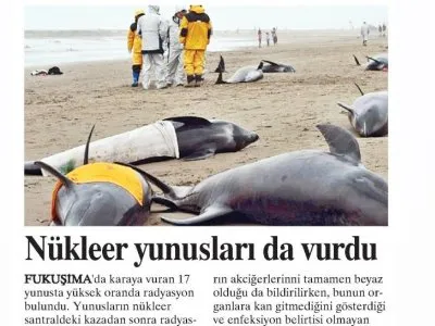 NÜKLEER YUNUSLARI DA VURDU (YURT GAZETESİ)