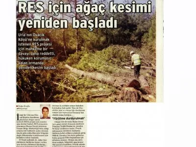 URLA OVACIK’TA RES İÇİN AĞAÇ KESİMİ YENİDEN BAŞLADI! (BİRGÜN)