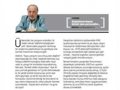 BOĞAZLANAN KOYUN, KÖMÜR OLAN YAVRUCUKLAR (ERSİN KAYA- KAYNAK ELEKTRİK)