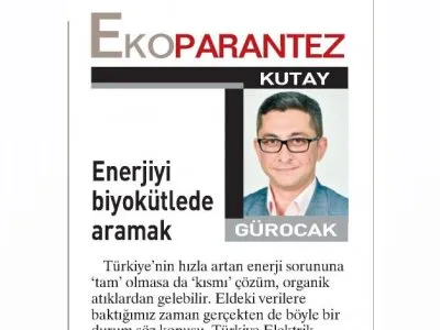 ENERJİYİ BİYOKÜTLEDE ARAMAK (KUTAY GÜROCAK-EGE TELGRAF)