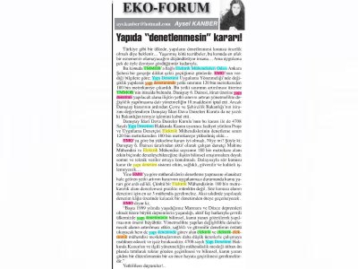 YAPIDA DENETLEMESİN KARARI  (BAŞKENT GAZETESİ, AYSEL KANBER, 02.07.2018)