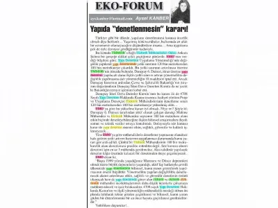 YAPIDA DENETLEMESİN KARARI  (BAŞKENT GAZETESİ, AYSEL KANBER, 02.07.2018)