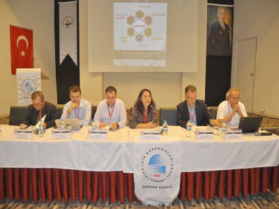 YÜKSEK GERİLİM TESİSLERİNDE İŞLETME SORUMLULUĞUNDA DURUM VE GELECEK ÇALIŞTAYI ANKARA`DA YAPILDI