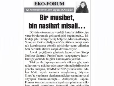 BİR MUSİBET, BİN NASİHAT MİSALİ...(AYSEL KANBER-BAŞKENT GAZETESİ)