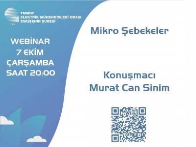 MİKRO ŞEBEKELER