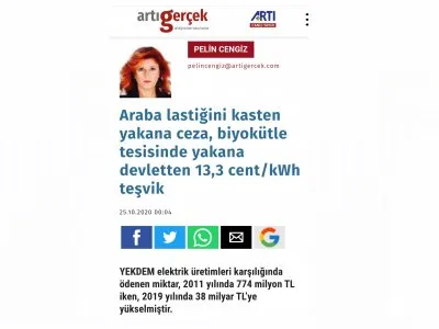 ARABA LASTİĞİNİ KASTEN YAKANA CEZA, BİYOKÜTLE TESİSİNDE YAKANA DEVLETTEN 13,3 CENT/KWH TEŞVİK (ARTİGERCEK.COM/PELİN CENGİZ)