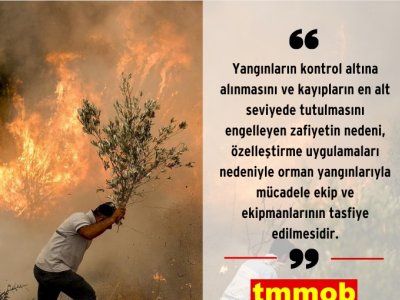 GELECEĞİMİZ YANIYOR, ORMAN YANGINLARINA ENGEL OLALIM!
