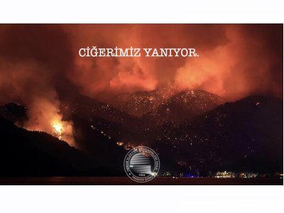 CİĞERİMİZ YANIYOR.