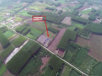 ÇARŞAMBA OVASINDA BİYOKÜTLE SUİSTİMALİNE YARGI FRENİ