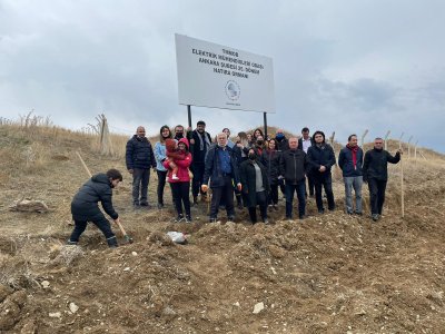 EMO ANKARA ŞUBESİ HATIRA ORMANINA FİDAN DİKİMİ ETKİNLİĞİ GERÇEKLEŞTİRİLDİ