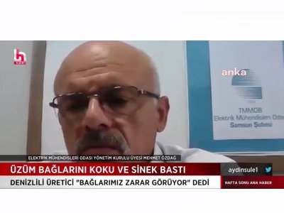 HALK TV- ANA HABER