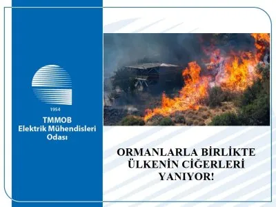 ORMANLARLA BİRLİKTE ÜLKENİN CİĞERLERİ YANIYOR!