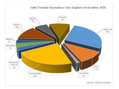 TÜRKİYE ELEKTRİK ENERJİSİ İSTATİSTİKLERİ ŞUBAT 2025 YAYIMLANDI
