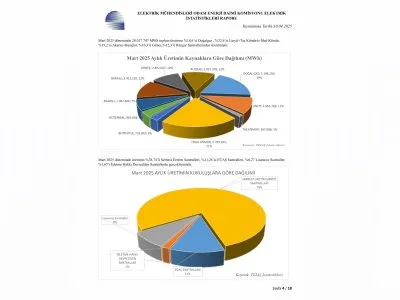 TÜRKİYE ELEKTRİK ENERJİSİ İSTATİSTİKLERİ MART 2025 YAYIMLANDI